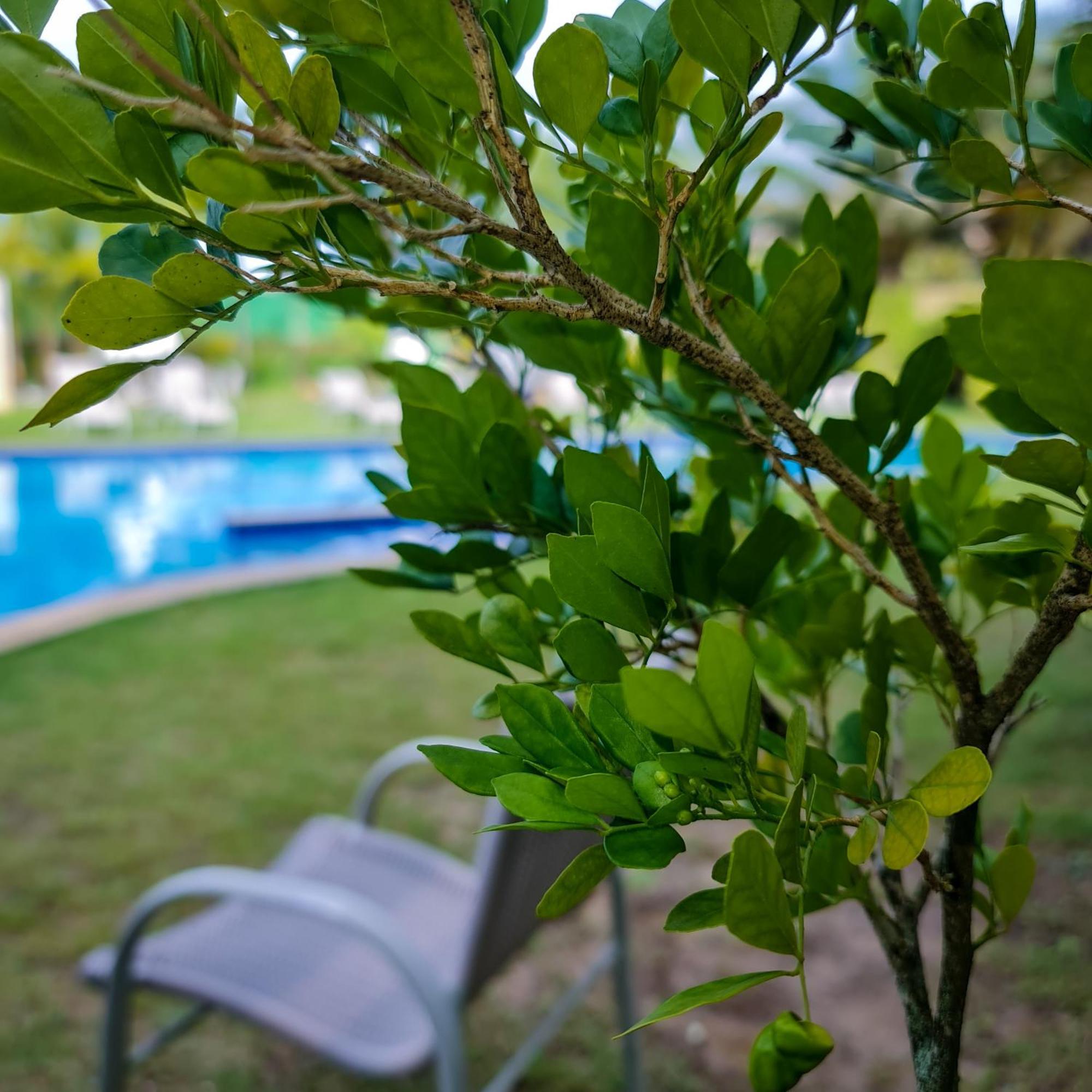 Hotel Catussaba Business 4*